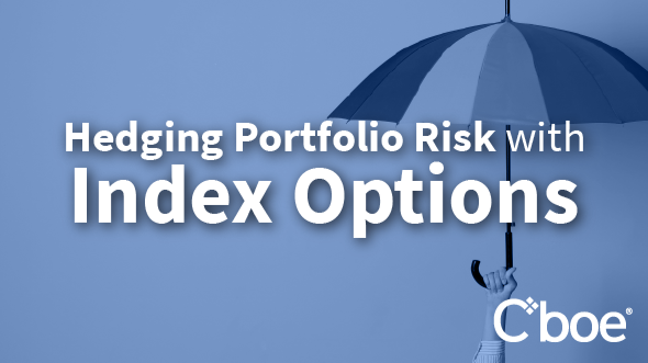Hedging Portfolio Risk with Mini Index Options